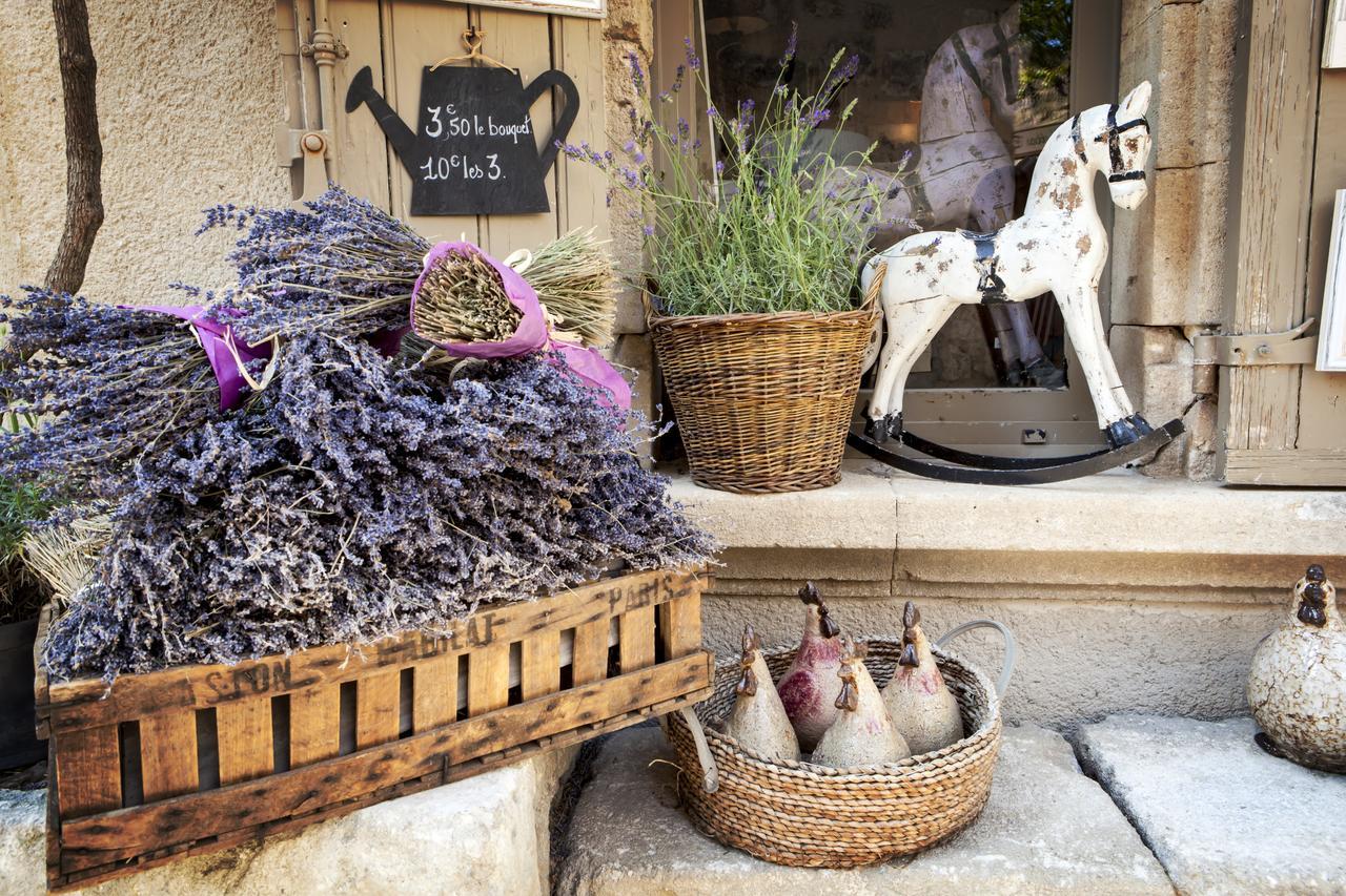 Portail Du Ventoux Central Luxe Jardin Linge Fourni Malaucène Exteriör bild
